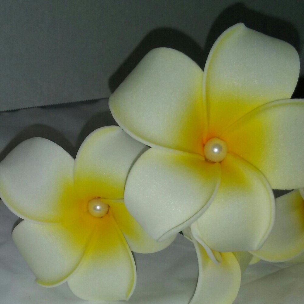 Plumeria